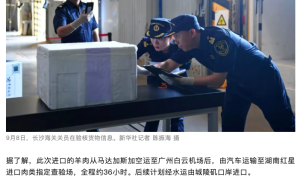 Customs officers are verifying the information of goods