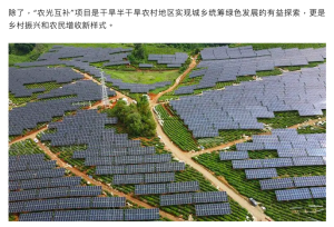 agricultural photovoltaic complementarity,